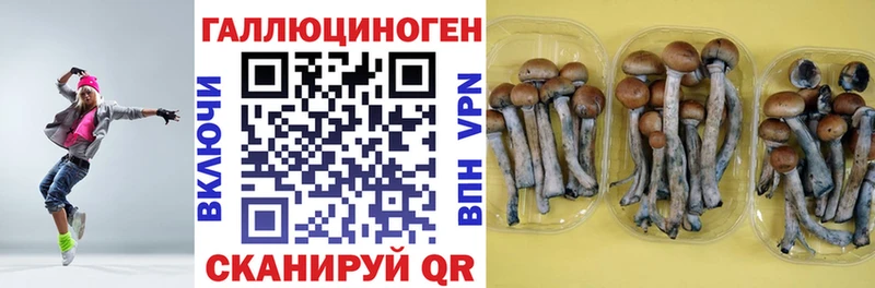 Псилоцибиновые грибы Psilocybine cubensis  Фёдоровский 